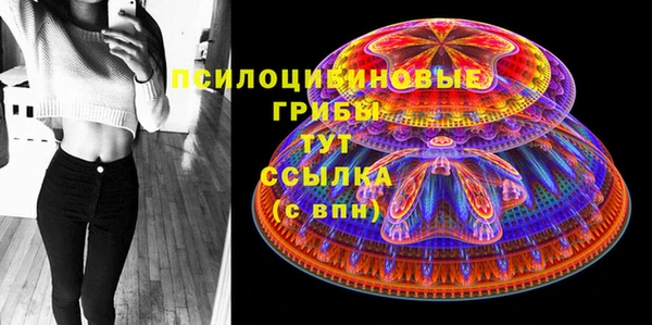 герыч Алзамай
