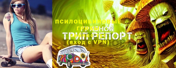 герыч Алзамай