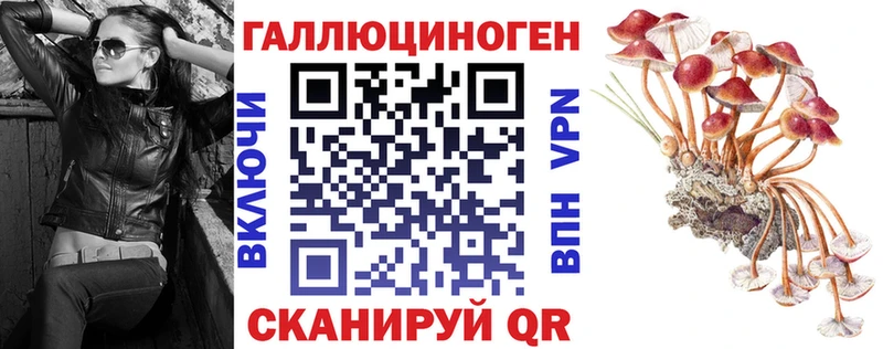 Псилоцибиновые грибы Psilocybe  Шумиха 